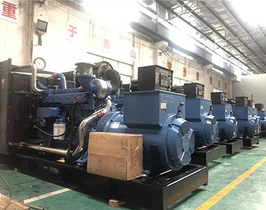 国内某养殖项目指定批量采用开云app登录入口500KW/400V陆用发电机